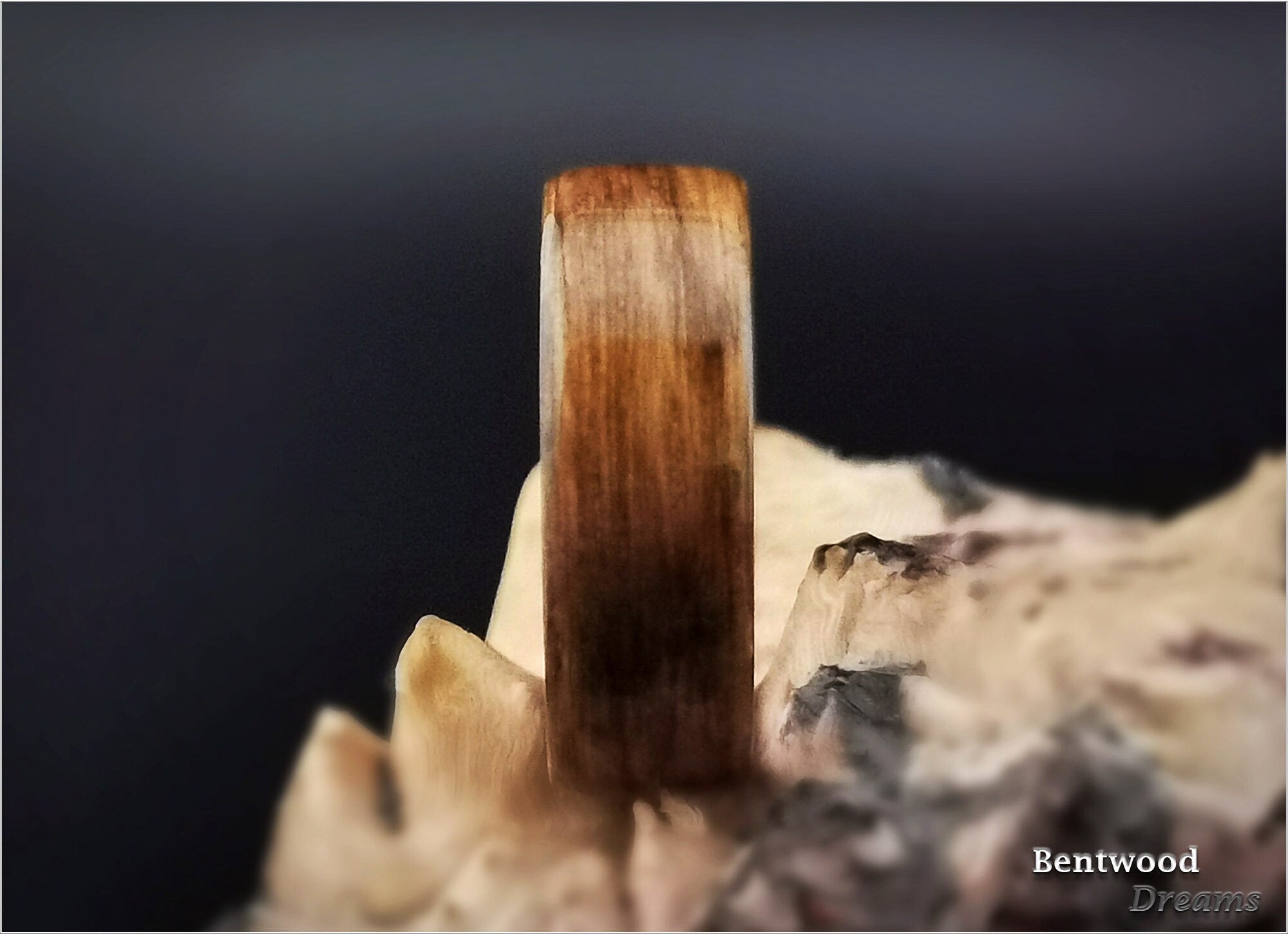 Bentwood Ring: English Brown Oak, Deer Antler core