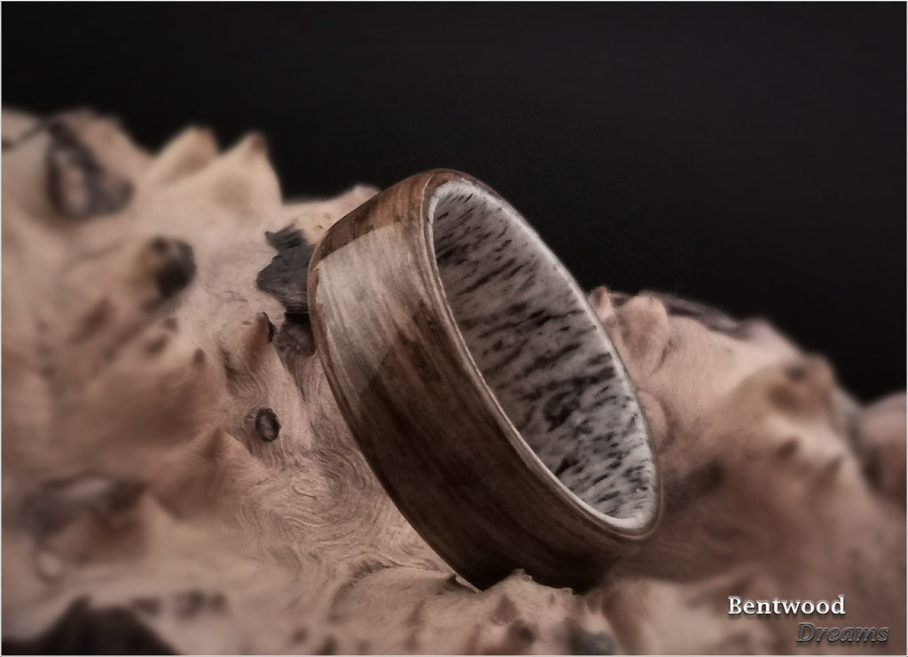 Bentwood Ring: English Brown Oak, Deer Antler core