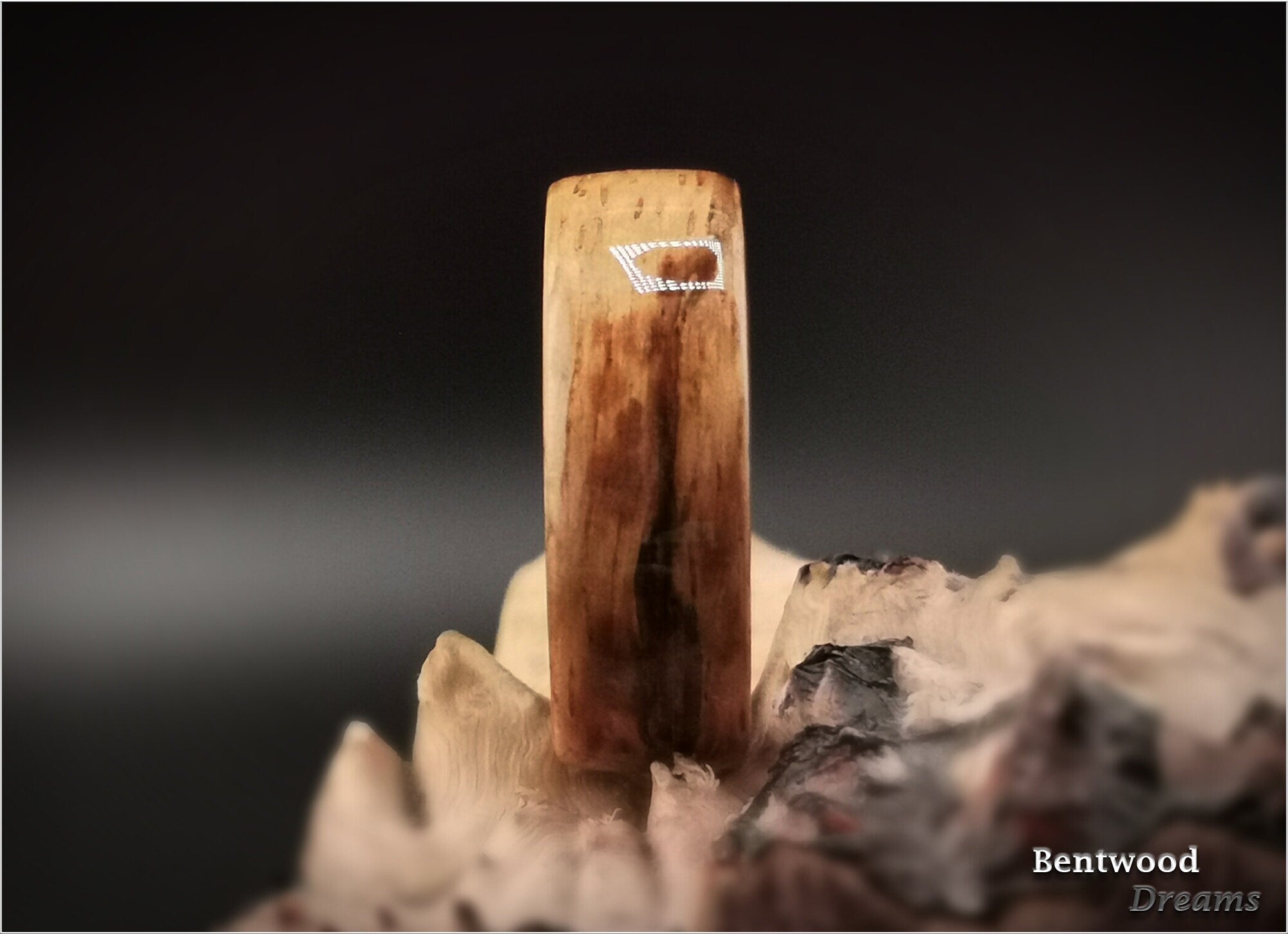 Bentwood Ring: Marbled Zebrano, Polished Black Ceramic core