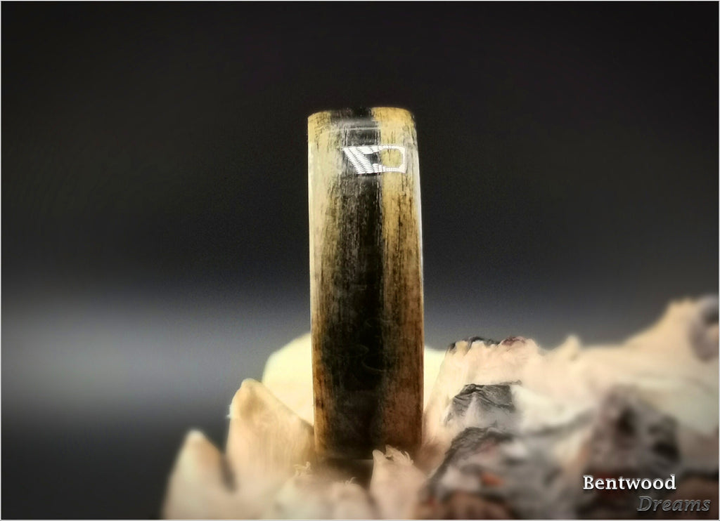 Bentwood Ring: Rare Malabar Ebony, polished Titanium core, wood ring