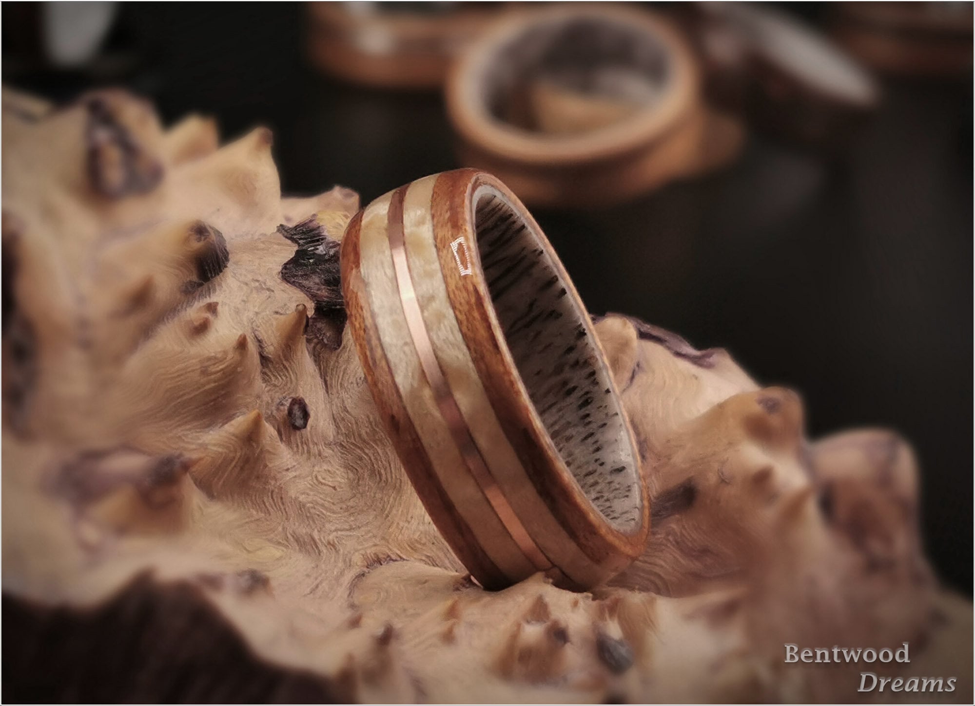Bentwood Ring: Quartersawn Spanish Cedar, Birdseye Maple and Copper Wire, Deer Antler core
