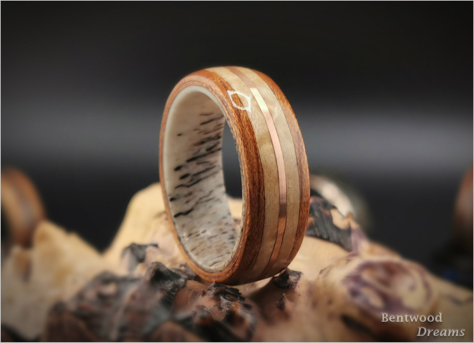 Bentwood Ring: Quartersawn Spanish Cedar, Birdseye Maple and Copper Wire, Deer Antler core