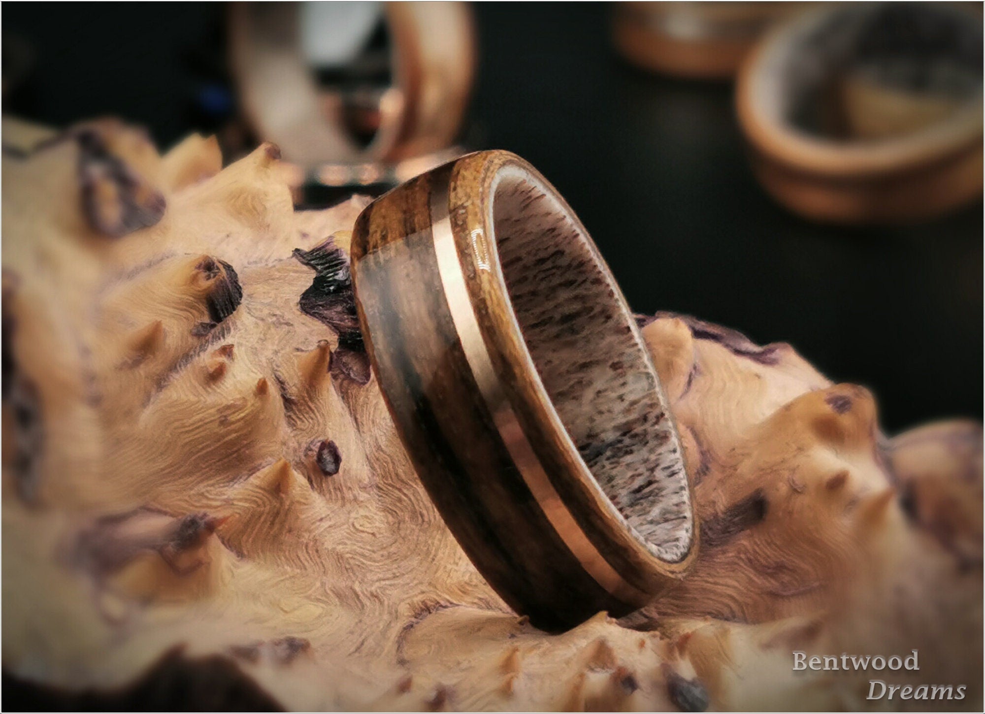 Bentwood Ring: Teak, offset inlaid Bronze Wire, Deer Antler core, wood ring