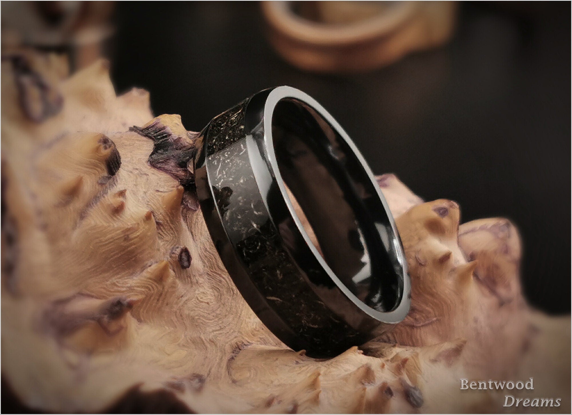 Seymchan Meteorite Ring, Zirconium Core, Handmade Metal Ring