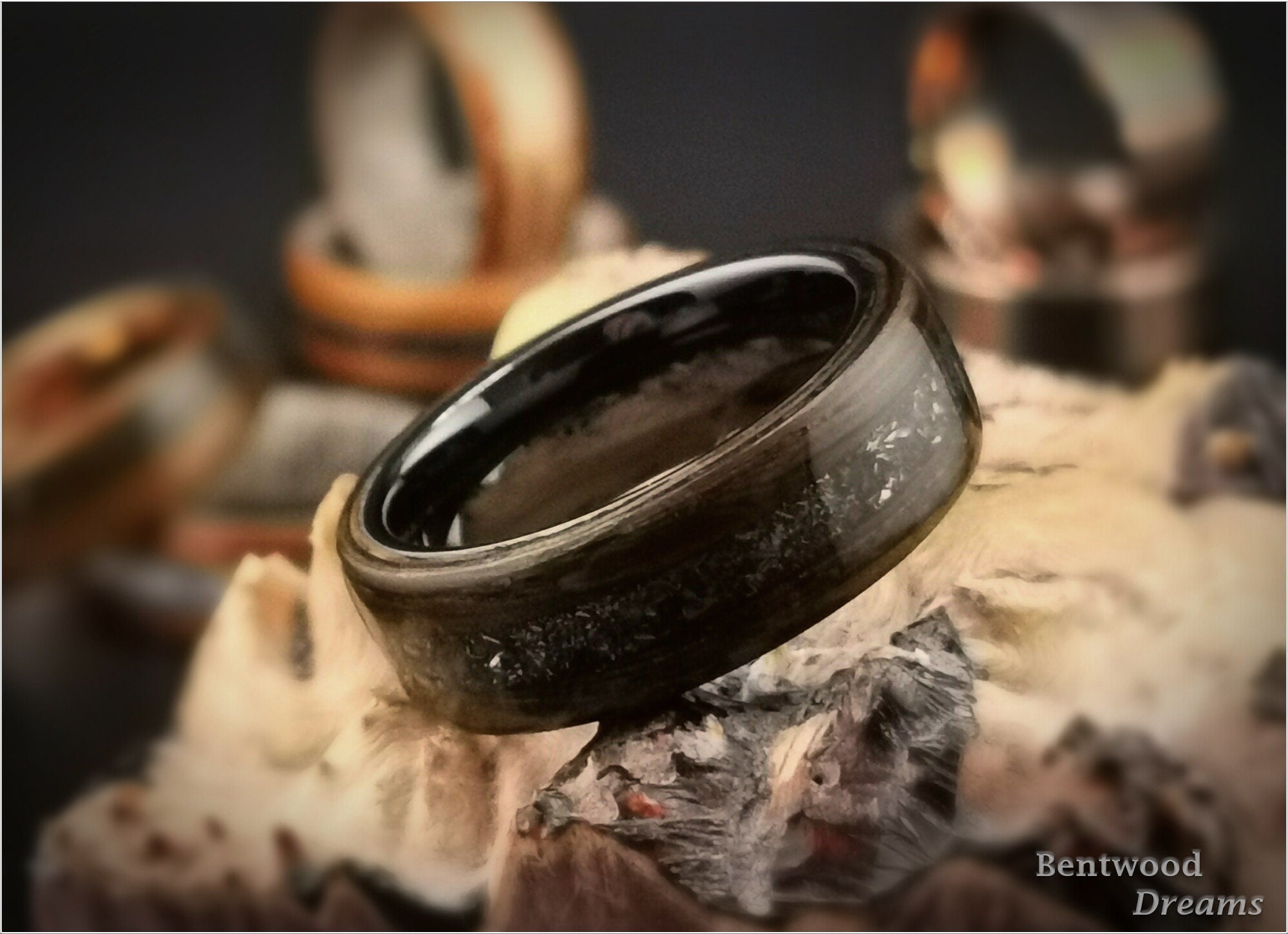 Bog Oak Bentwood Ring: Campo Cielo Meteorite Inlay, Black Ceramic Core