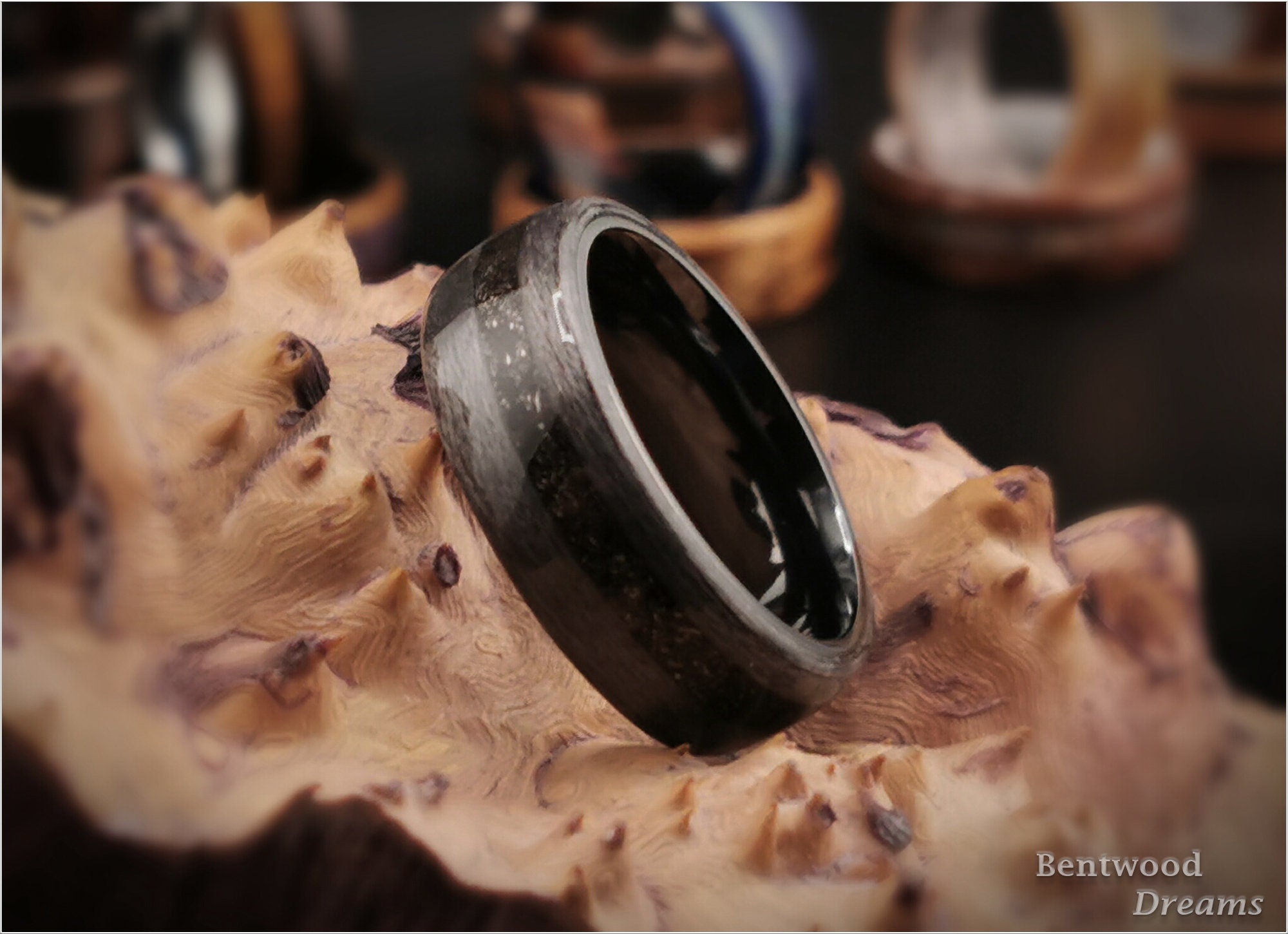 Bentwood Ring: Grey Maple, offset inlaid Muonionalusta Meteorite, Black Zirconium core