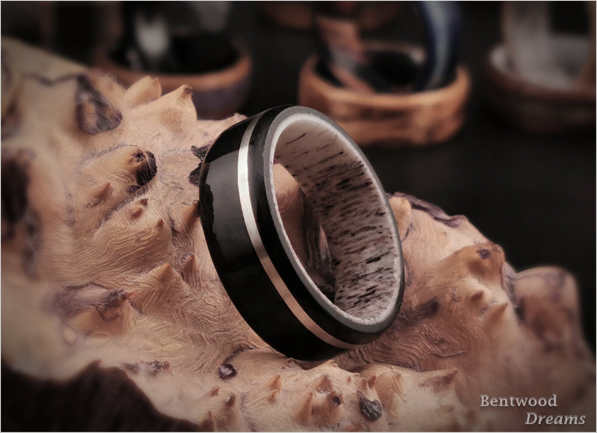 Black Birdseye Maple Bentwood Ring: Sterling Silver Inlay, Deer Antler Core
