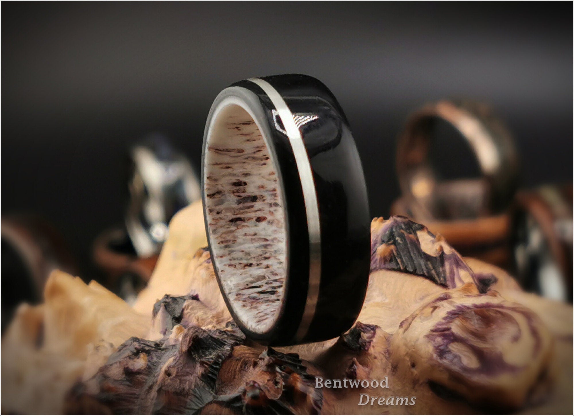 Black Birdseye Maple Bentwood Ring: Sterling Silver Inlay, Deer Antler Core