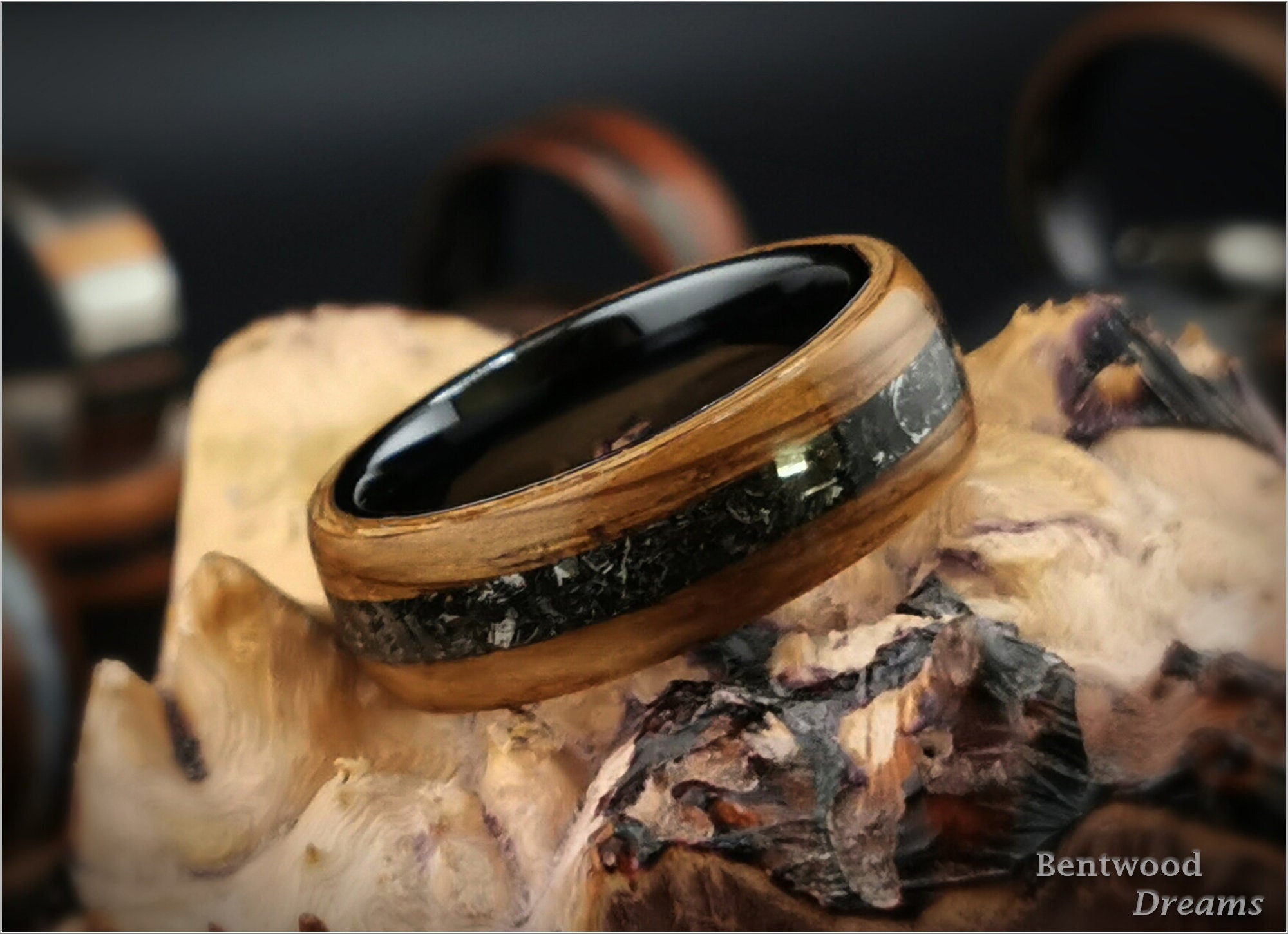 Bog Oak Sapwood Bentwood Ring: Campo de Cielo Meteorite Inlay, Black Ceramic Core