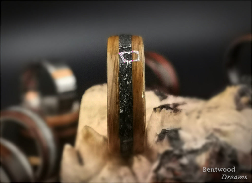 Bog Oak Sapwood Bentwood Ring: Campo de Cielo Meteorite Inlay, Black Ceramic Core