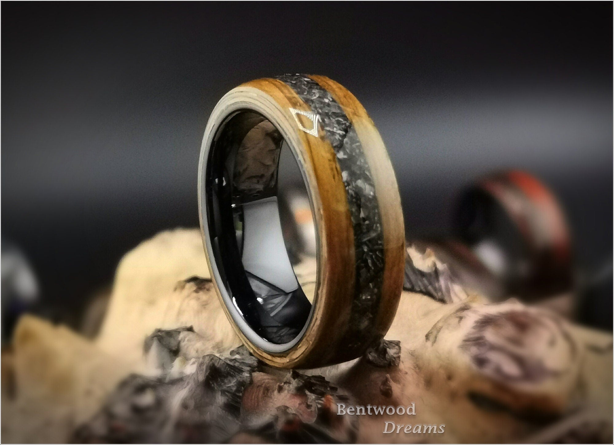 Bog Oak Sapwood Bentwood Ring: Campo de Cielo Meteorite Inlay, Black Ceramic Core