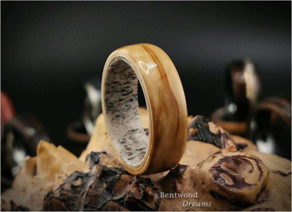 Bentwood Ring: Karelian Birch, Deer Antler core, wood ring