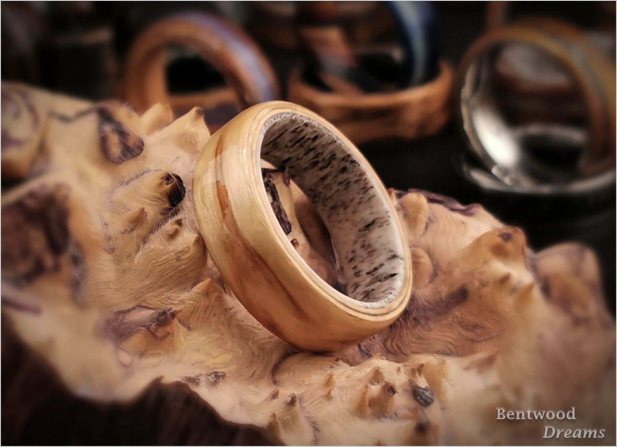 Bentwood Ring: Karelian Birch, Deer Antler core, wood ring