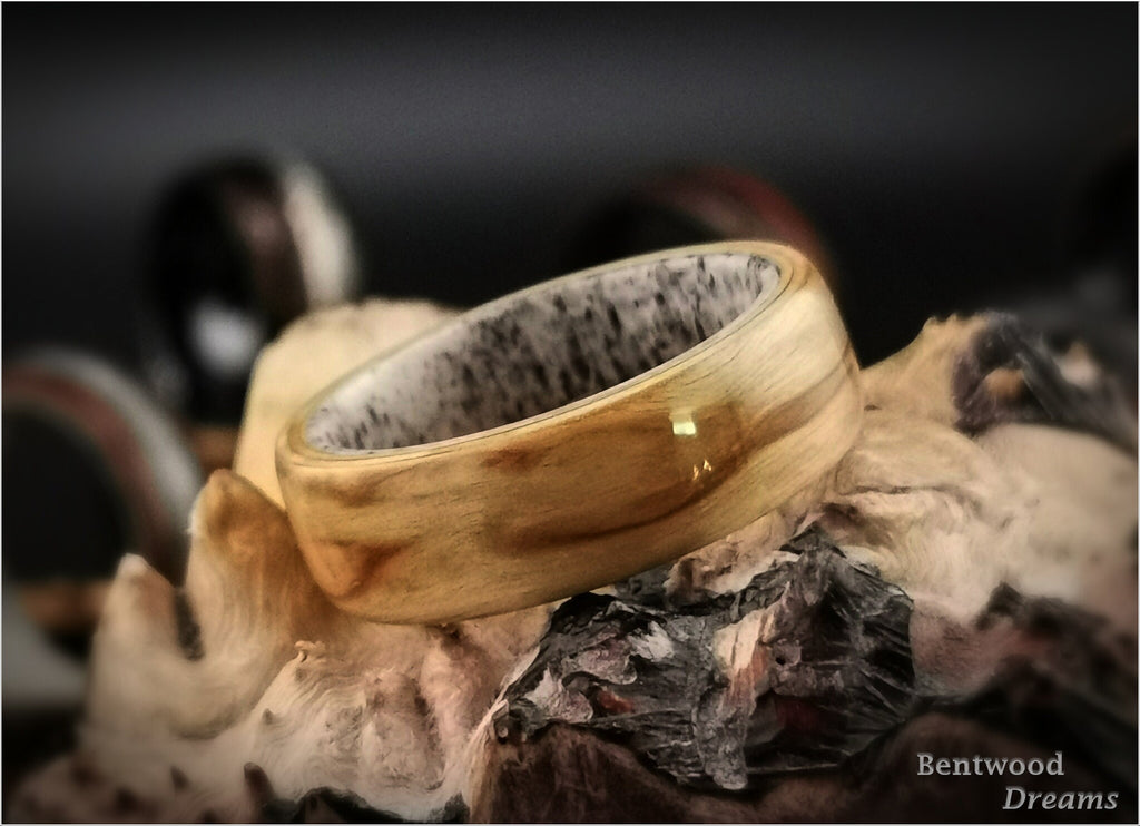 Bentwood Ring: Karelian Birch, Deer Antler core, wood ring