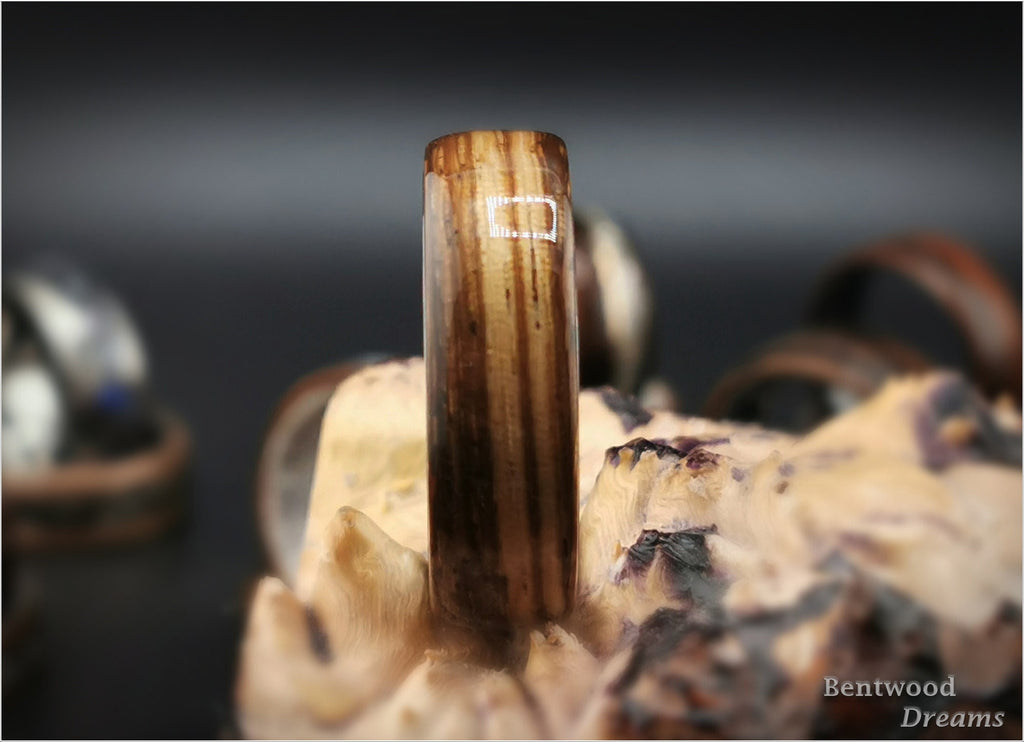 Bentwood Ring: Zebrano, polished White Tungsten core
