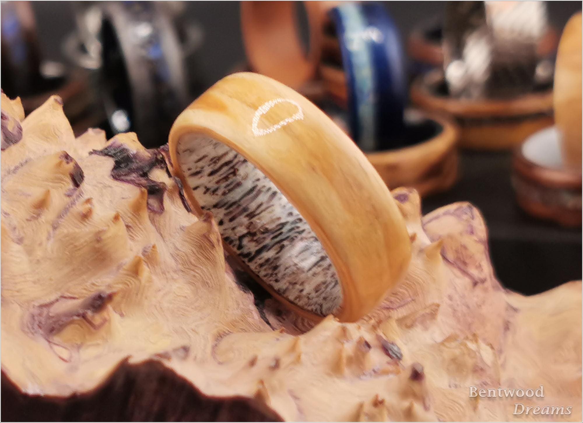 Bentwood Ring: Rare Birdseye Pine, Deer Antler core