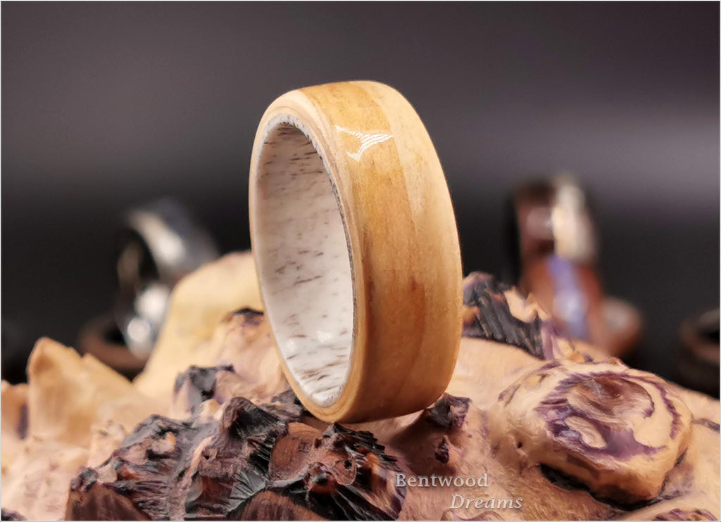 Bentwood Ring: Rare Birdseye Pine, Deer Antler core