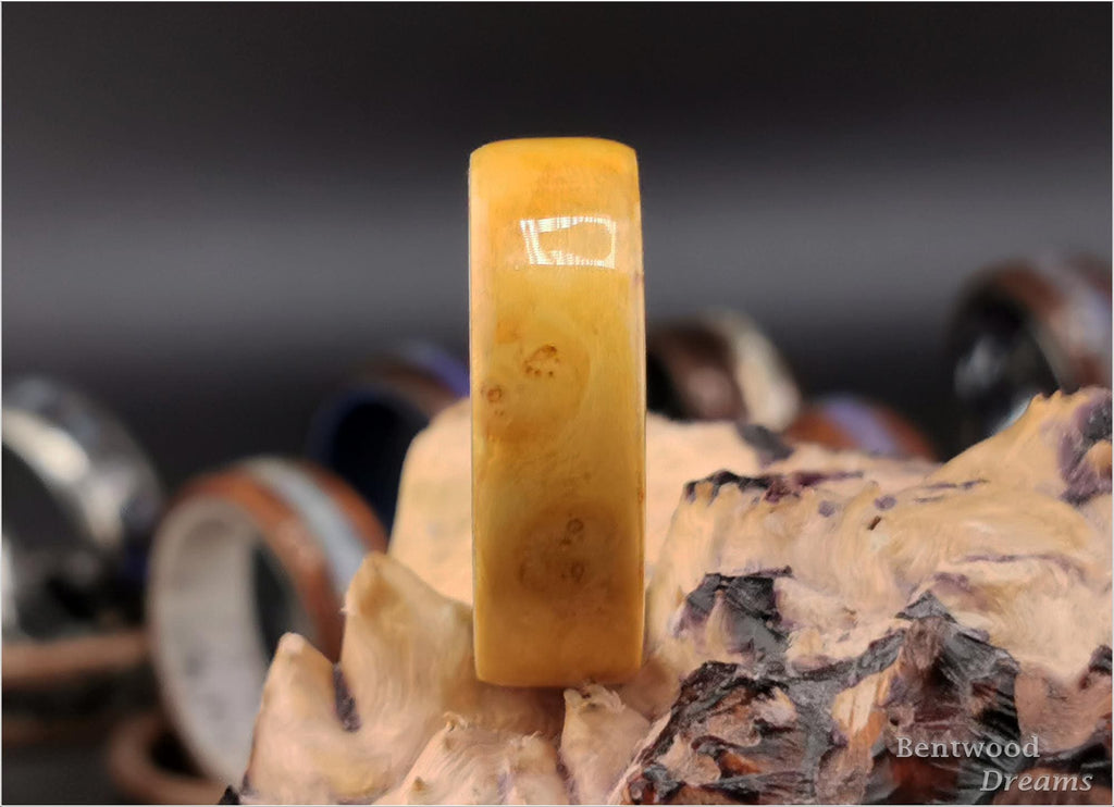Bentwood Ring: Rare Nutmeg Burl, Polished Titanium core, wood ring