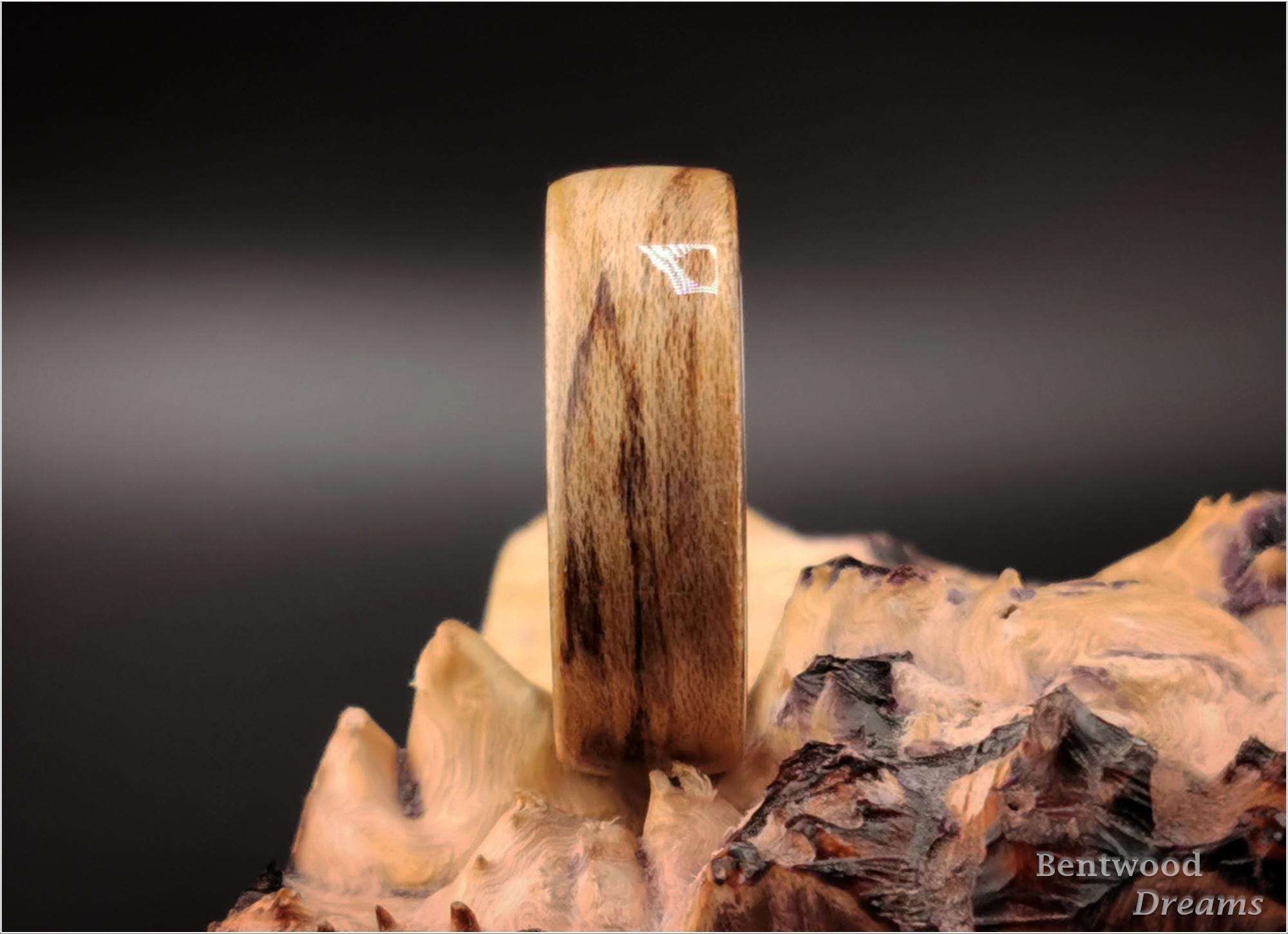 Bentwood Ring: Spalted Maple, Polished Black Ceramic core, wood ring