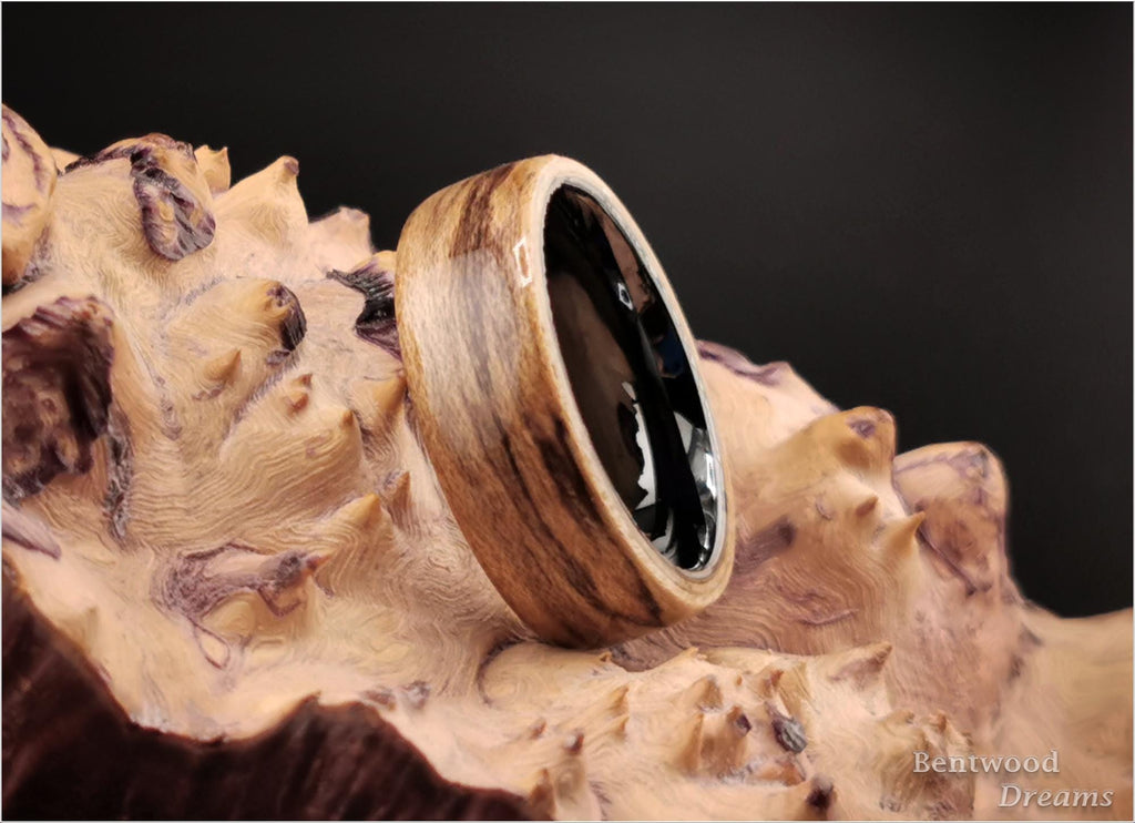 Bentwood Ring: Spalted Maple, Polished Black Ceramic core, wood ring