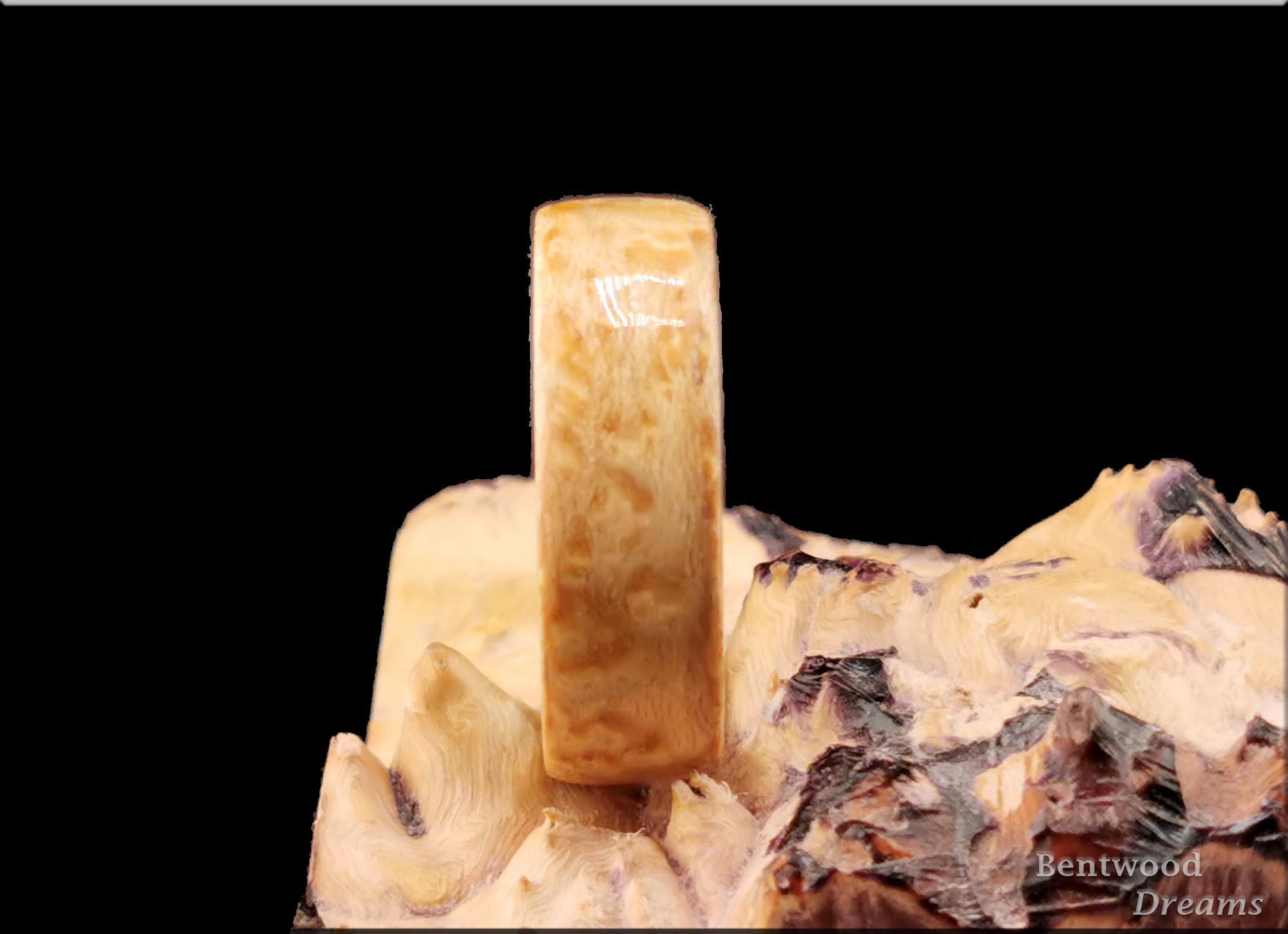 Birdseye Maple Bentwood Ring: Blue Box Elder Core