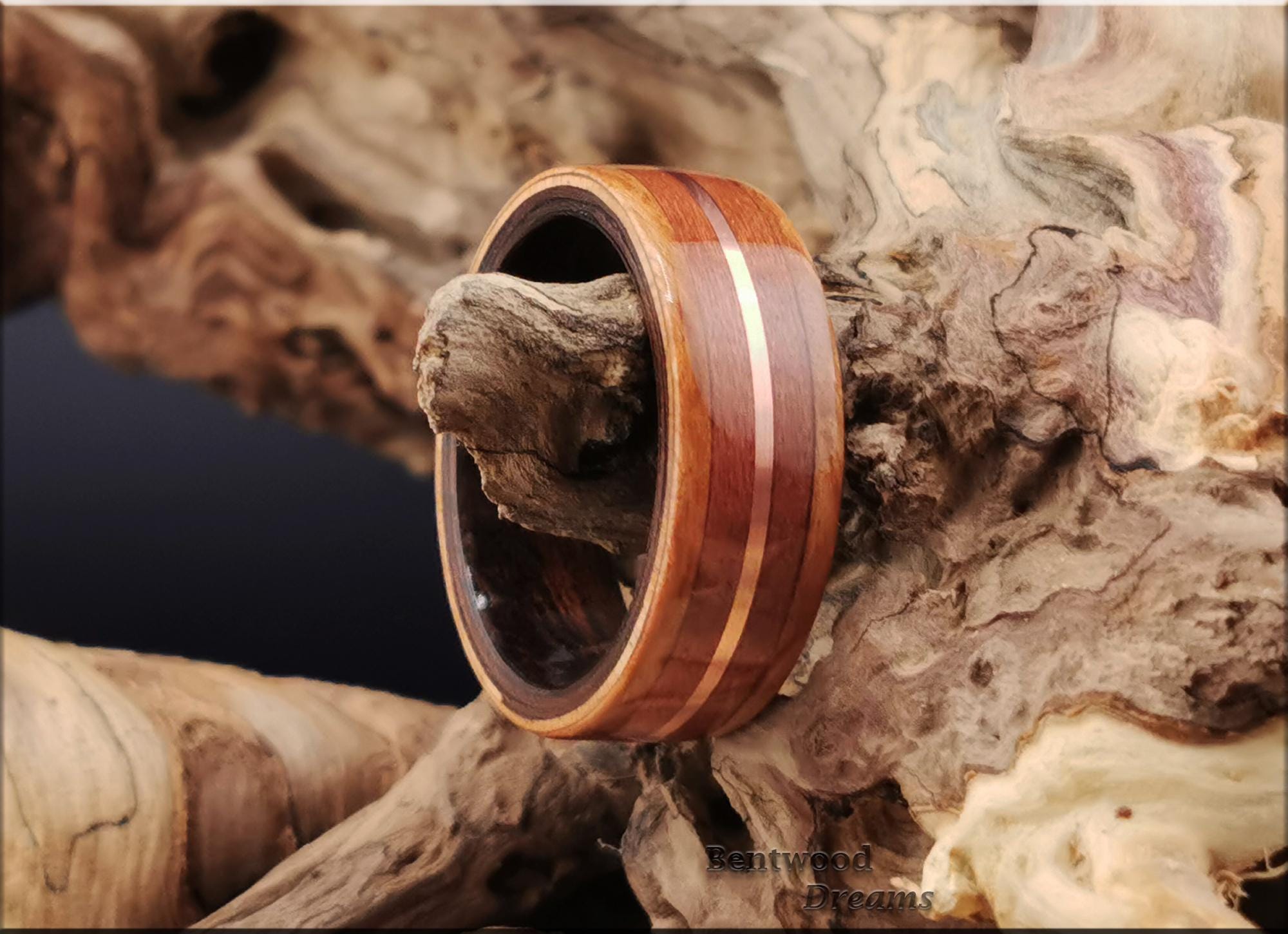 Bentwood Ring: Eucalyptus Burl, inlaid Plum Wood and Copper Wire, Smoked Etimoe core