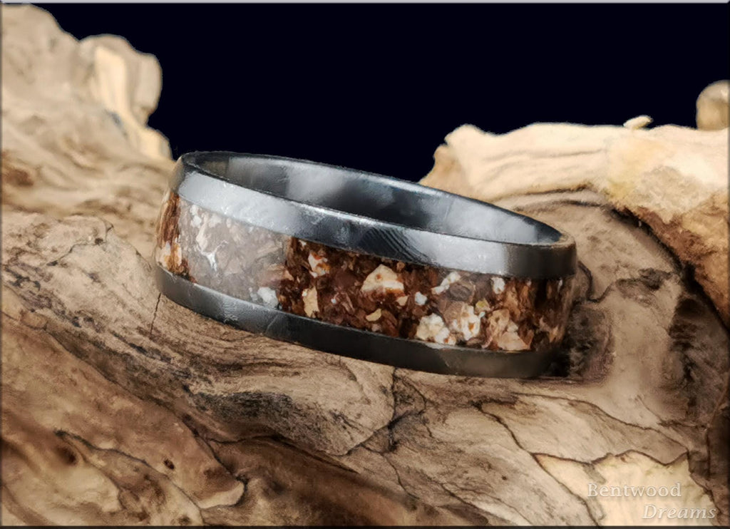 Crystalized Black Zirconium Ring, inlaid dual Fossilised Dinosaur Bone, Quick Ship