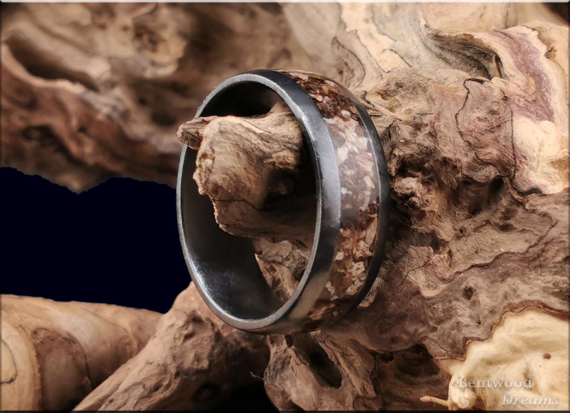 Crystalized Black Zirconium Ring, inlaid dual Fossilised Dinosaur Bone, Quick Ship