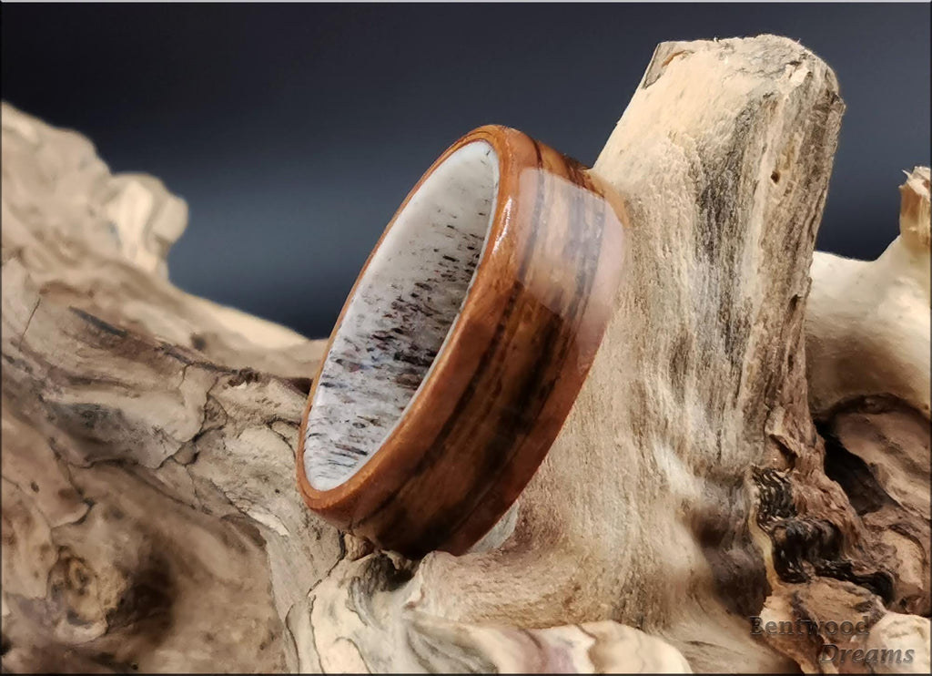 Bentwood Ring: Arbutus Burl, inlaid Teak wood, Deer Antler core