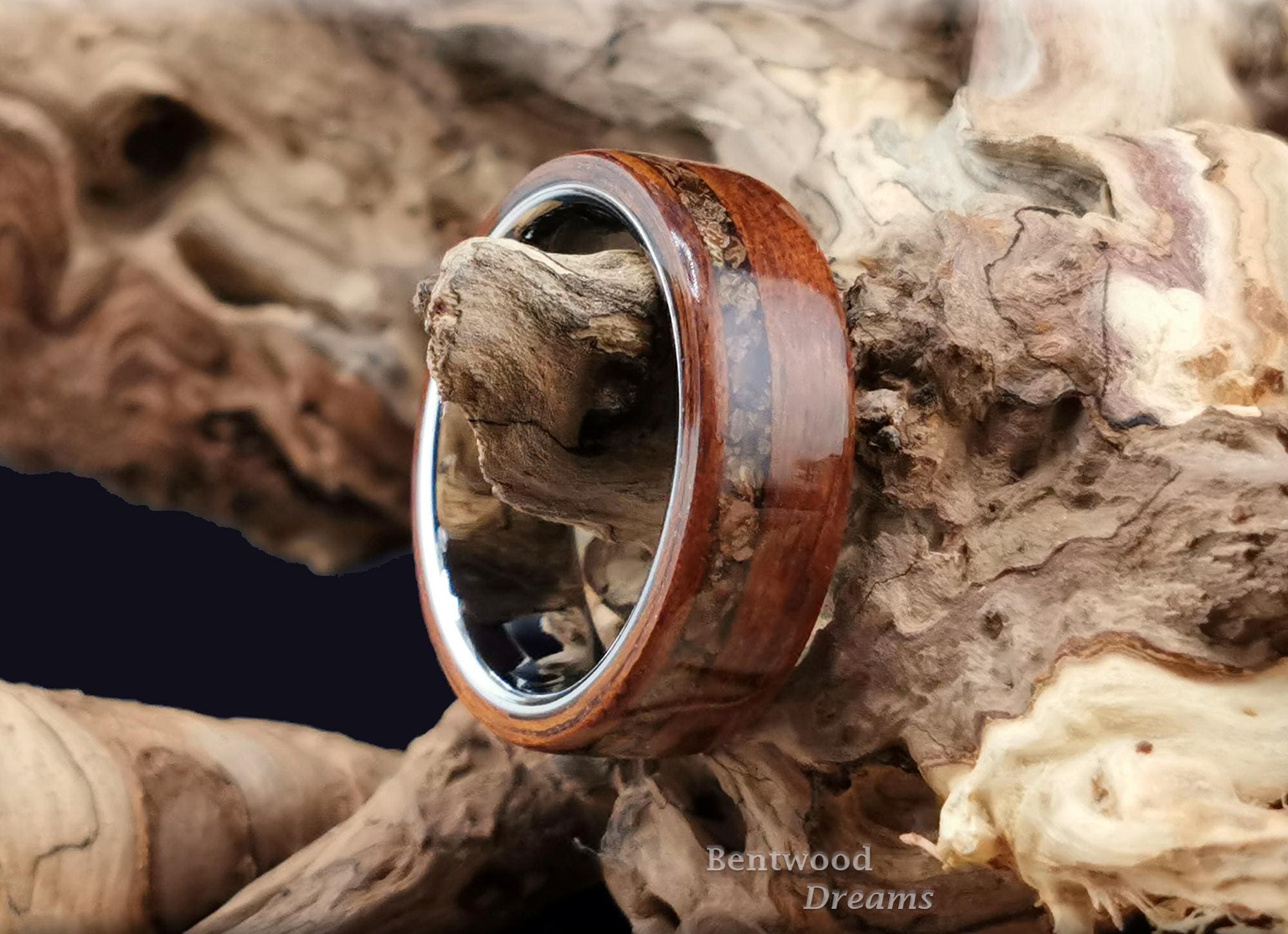 Bentwood Ring: Goncalo Alves, Velociraptor Bone, Polished Tungsten Carbide core