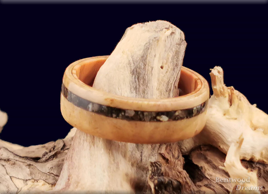 Bentwood Ring: Rare Myrtle Burl, offset inlaid Impactite, Olivewood core, Quick Ship