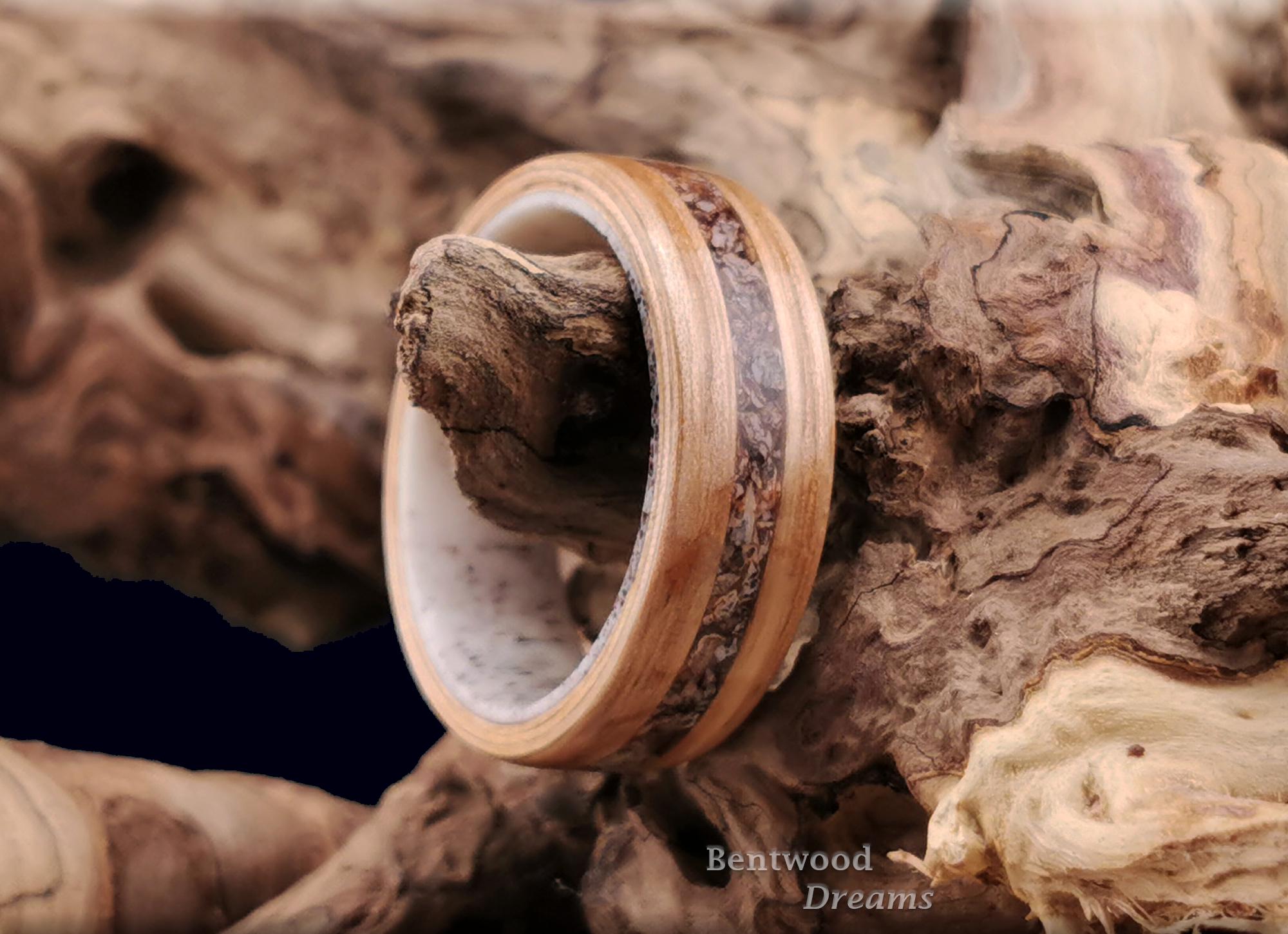 Bentwood Ring: Olive Ash, inlaid Brontotherium Bone, Deer Antler core