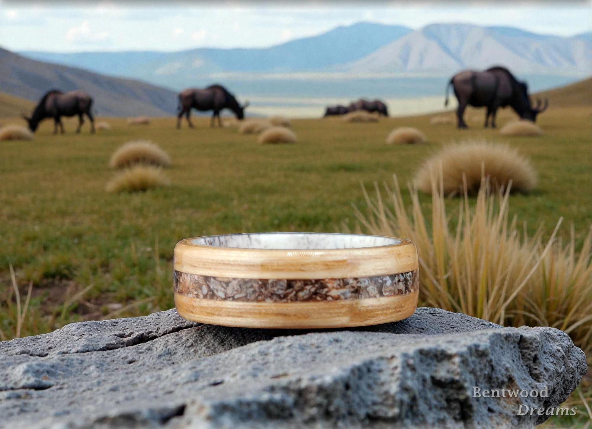 Bentwood Ring: Olive Ash, inlaid Brontotherium Bone, Deer Antler core