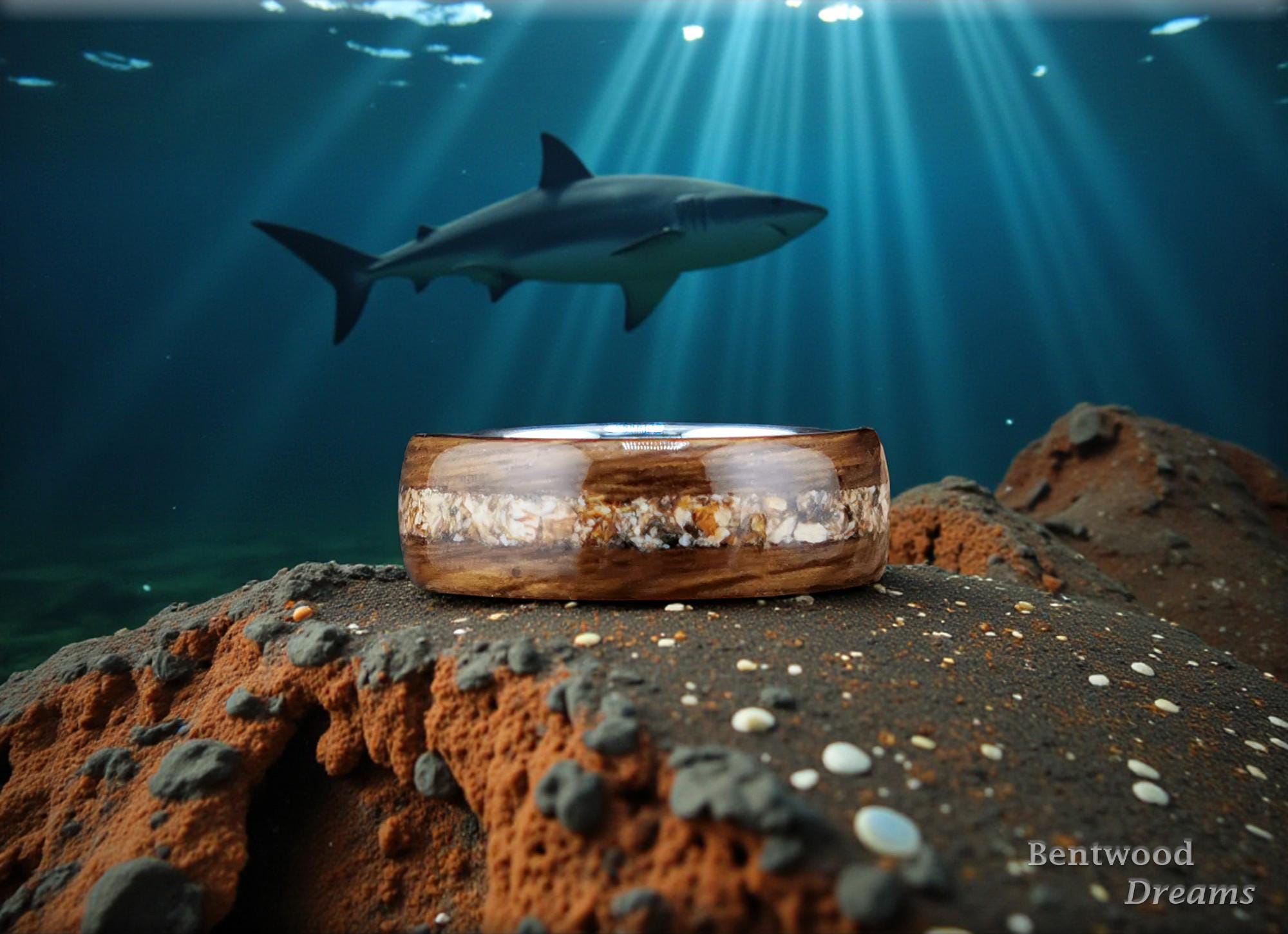 Bentwood Ring: Smoked Red Oak, Megalodon Tooth, Polished Tungsten Carbide Core