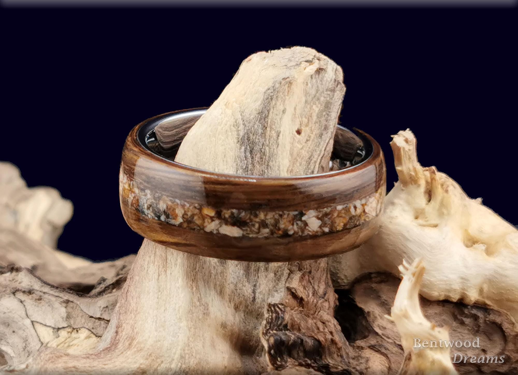 Bentwood Ring: Smoked Red Oak, Megalodon Tooth, Polished Tungsten Carbide Core