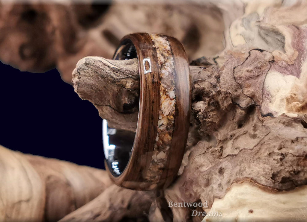 Bentwood Ring: Smoked Red Oak, Megalodon Tooth, Polished Tungsten Carbide Core