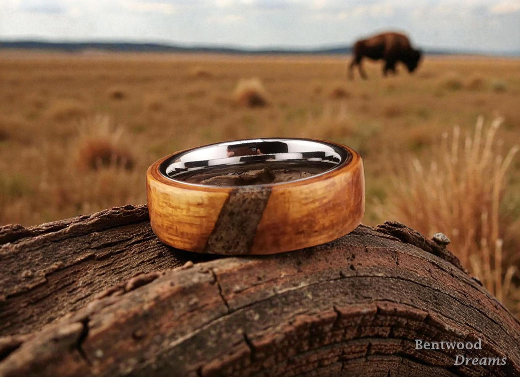 Bentwood Ring: Ako, crosscut inlaid Bison Antiquus Bone, Polished Tungsten Carbide core, wood ring