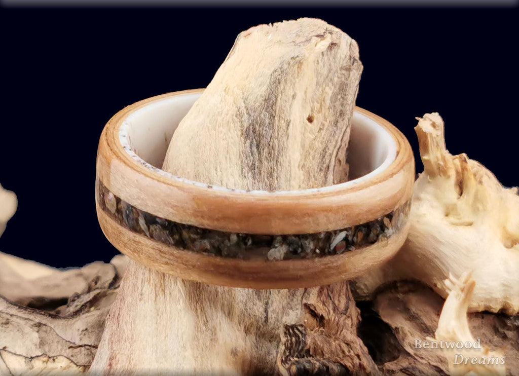 Bentwood Ring: Red Gum, inlaid Allosaurus Bone, Deer Antler core, Quick Ship