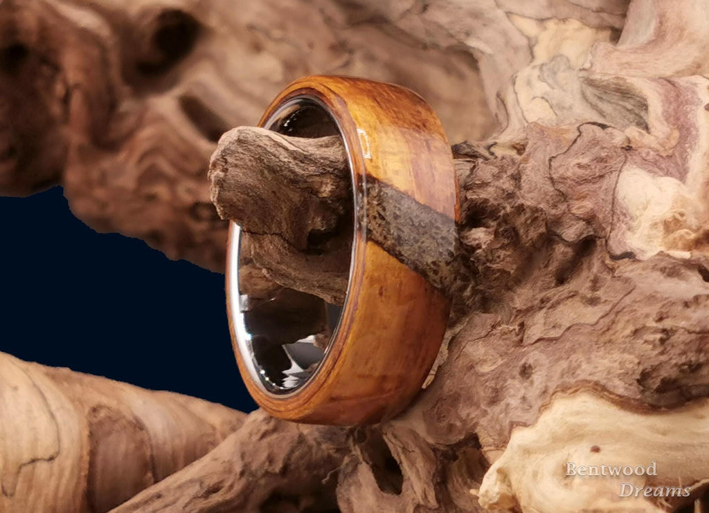 Bentwood Ring: Ako, crosscut inlaid Bison Antiquus Bone, Polished Tungsten Carbide core, wood ring