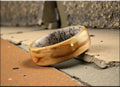 Bentwood Ring: Karelian Birch, Deer Antler core, wood ring