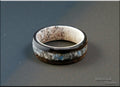 Bentwood Ring: Smoked Eucalyptus, inlaid K2 Granite/Blueberry Jasper, Deer Antler core, wood ring