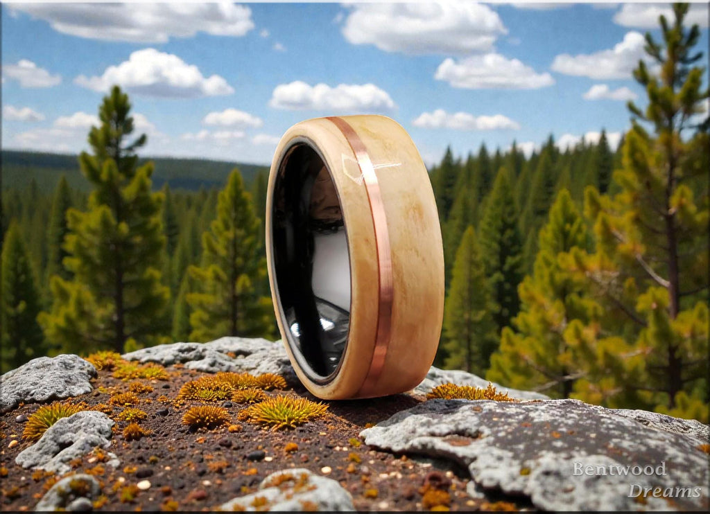 Birdseye Pine Bentwood Ring: Copper Inlay, Black Ceramic Core