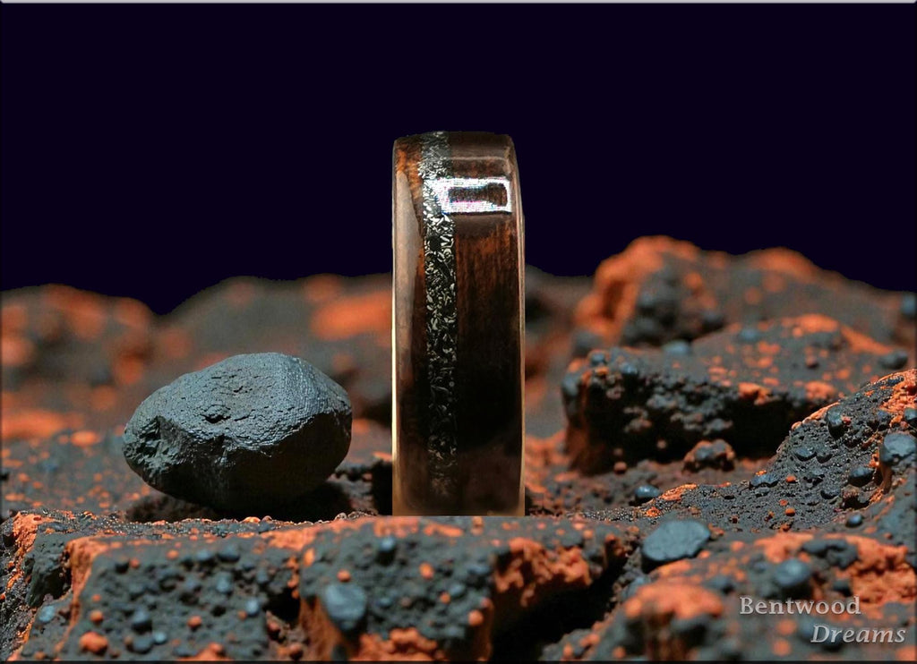 Bentwood Ring: Smoked Etimoe, offset Canyon Diablo, Titanium core, wood ring