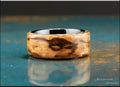 Bentwood Ring: Ultra-Rare Birdseye Zebrano, 10mm Black Ceramic core