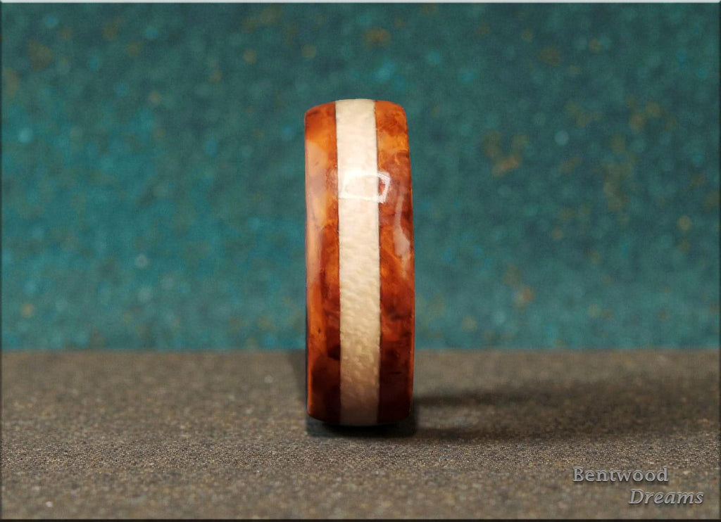 Bentwood Ring: Amboyna Burl, inlaid Figured Sycamore, Black Ceramic  core