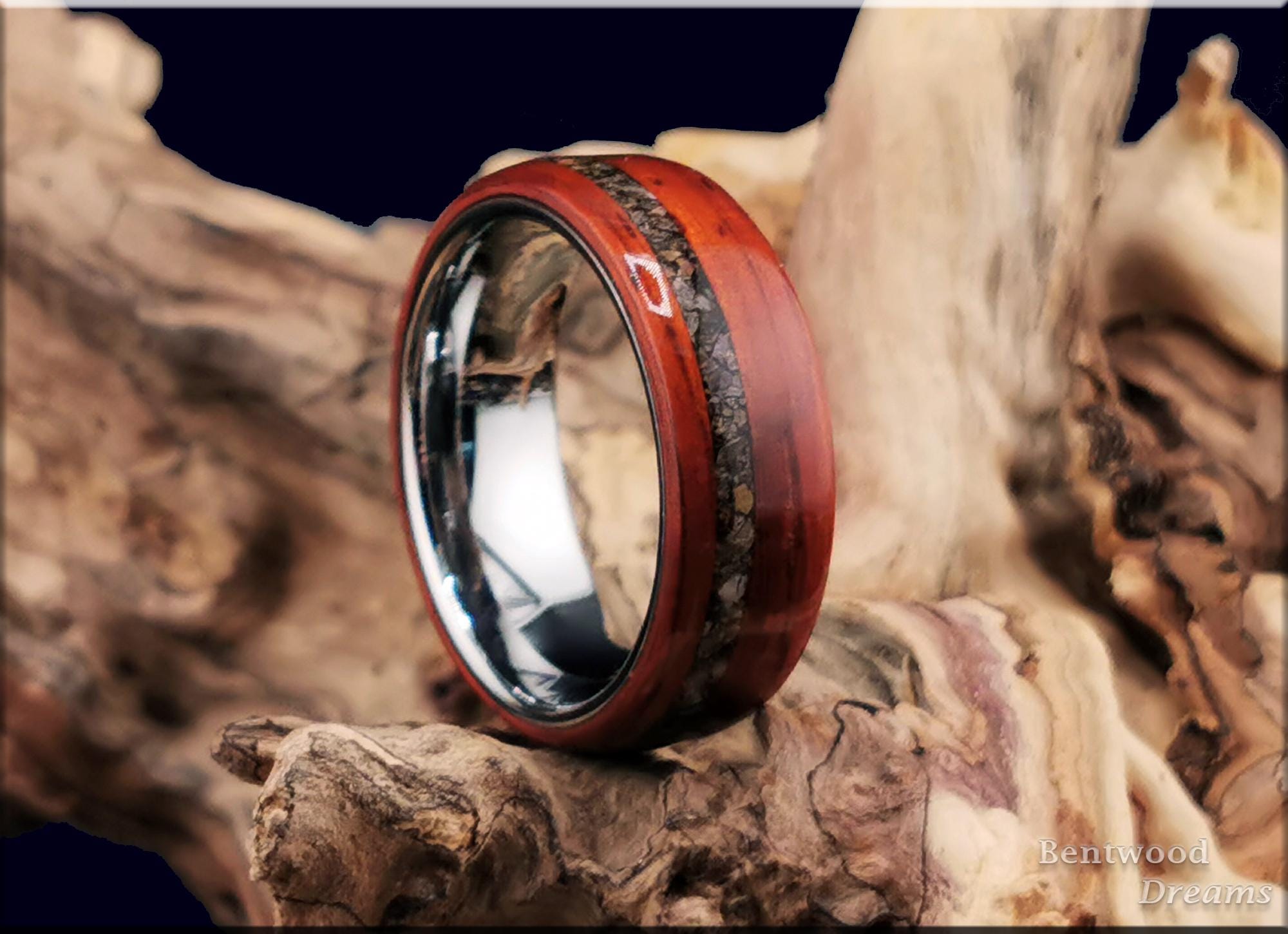 Bentwood Ring: Padauk, offset inlaid Allosaurus Bone, Polished Tungsten core
