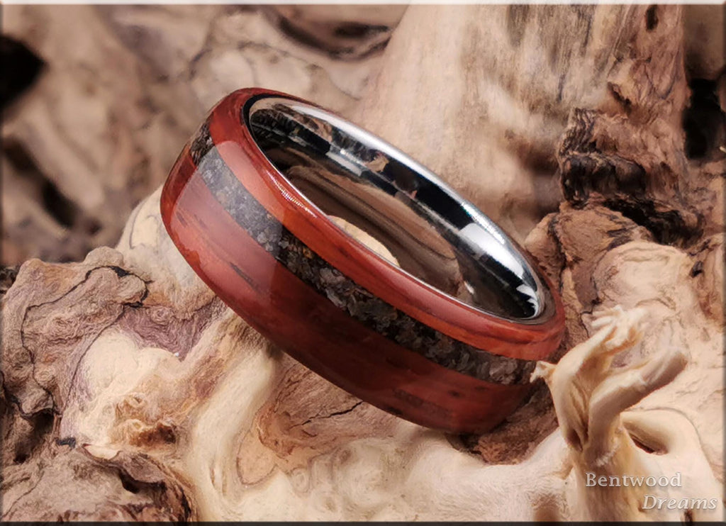 Bentwood Ring: Padauk, offset inlaid Allosaurus Bone, Polished Tungsten core