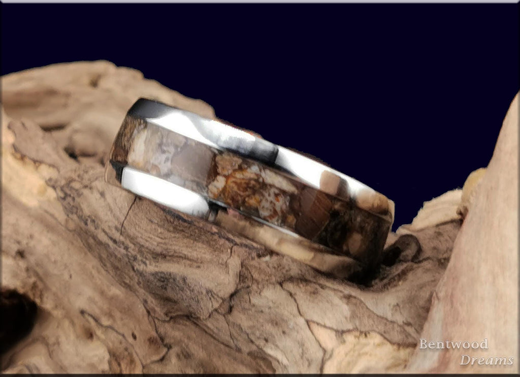 Cobalt Chrome Ring, inlaid Dinosaur Bone, metal ring
