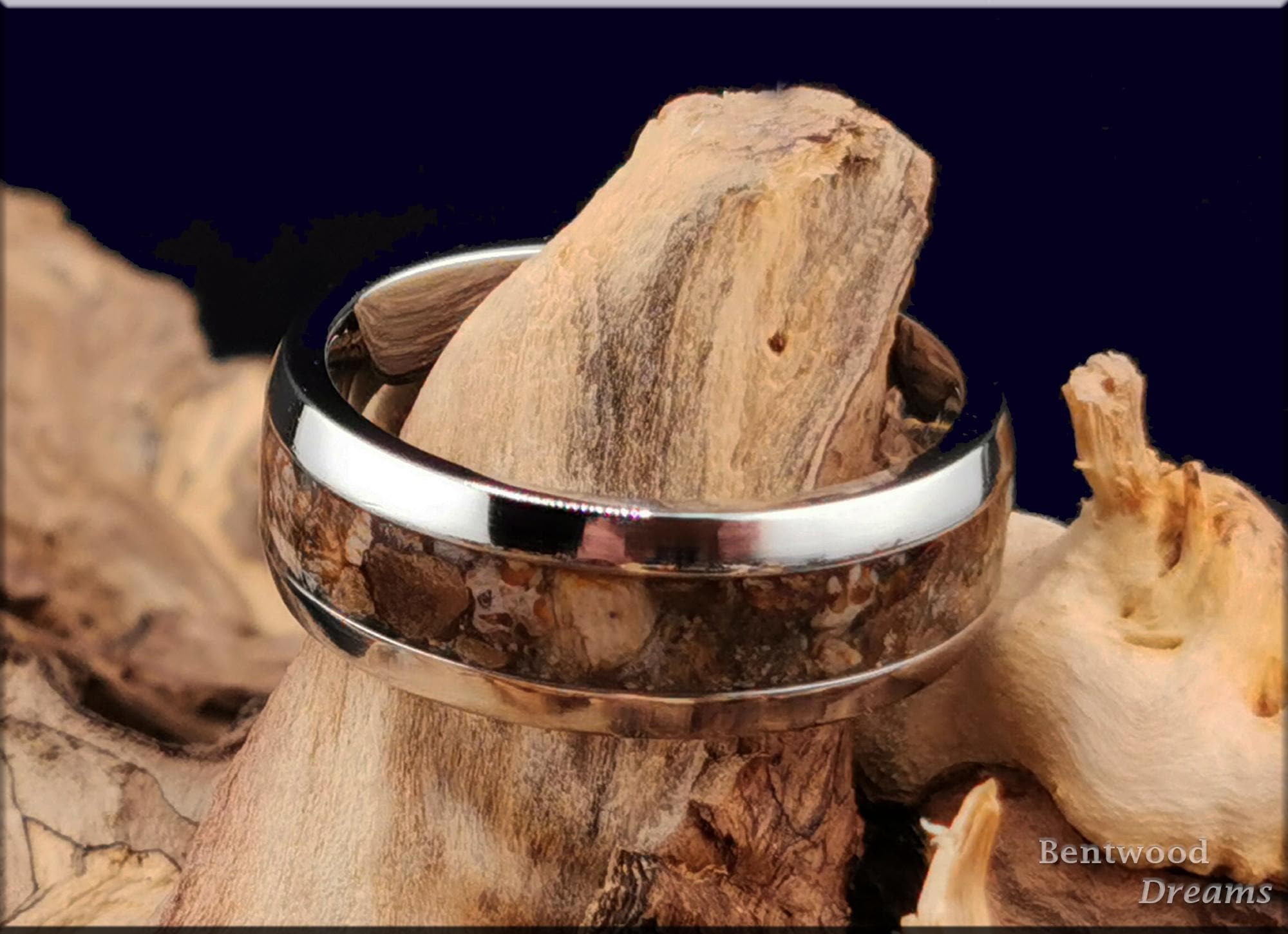 Cobalt Chrome Ring, inlaid Dinosaur Bone, metal ring