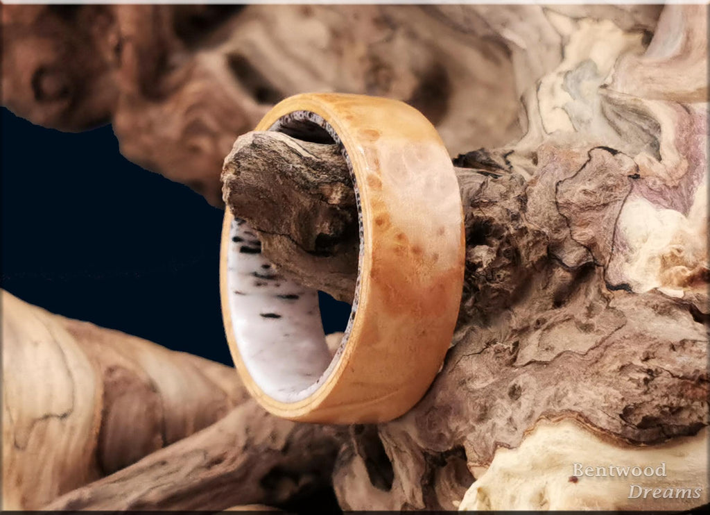Bentwood Ring: Maple Burl, Deer Antler core, wood ring